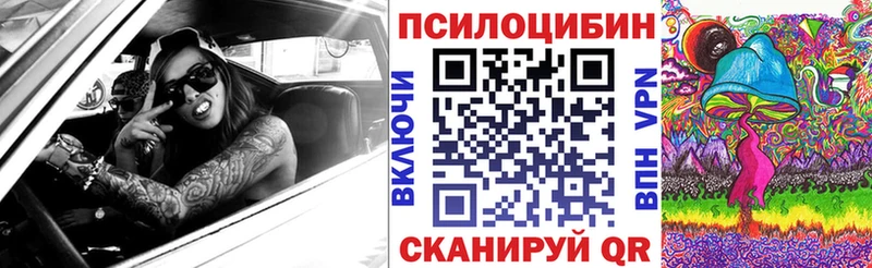 Псилоцибиновые грибы Psilocybine cubensis  Калязин 